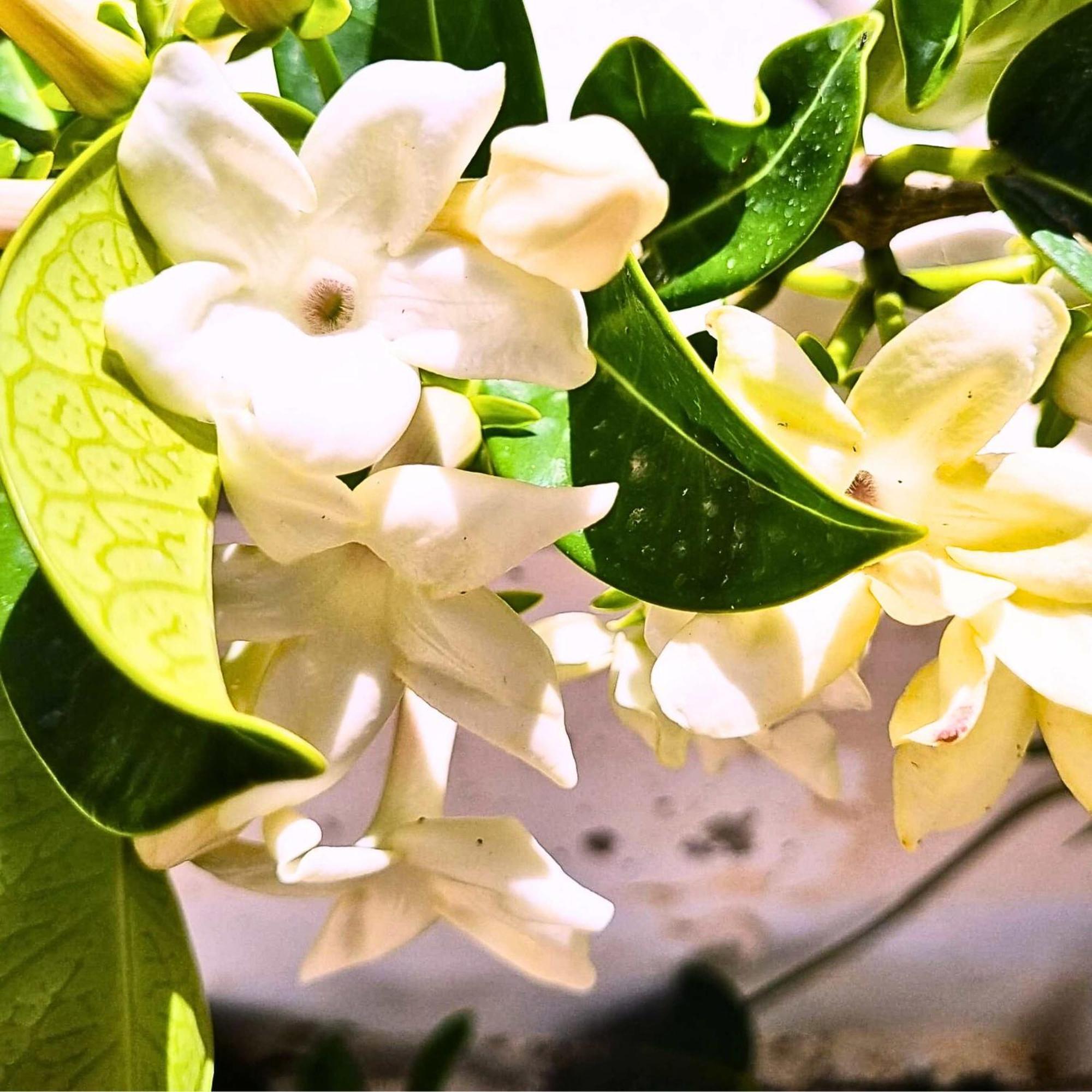 Infinity Wellness Boutique Hotel Afráta Dış mekan fotoğraf