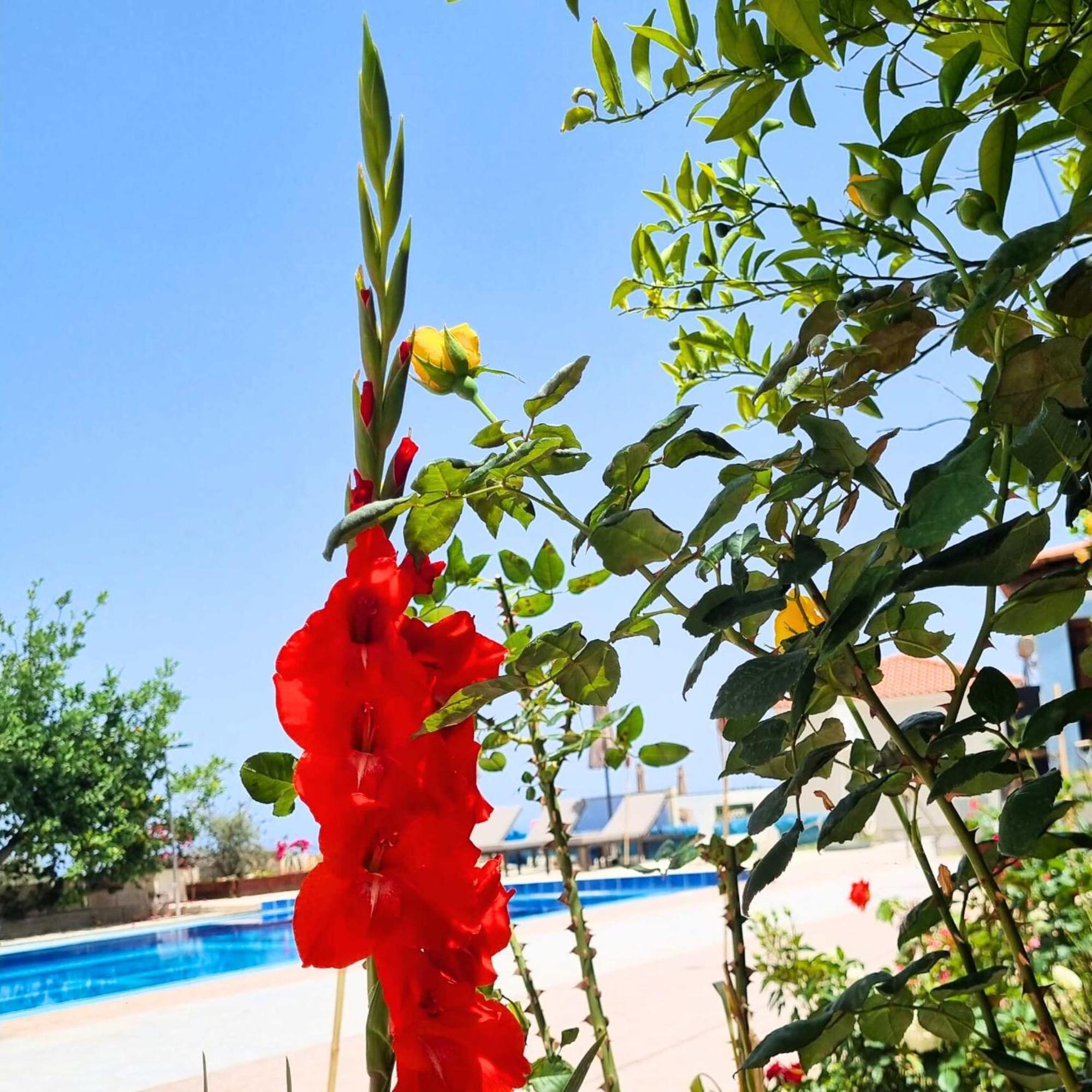 Infinity Wellness Boutique Hotel Afráta Dış mekan fotoğraf